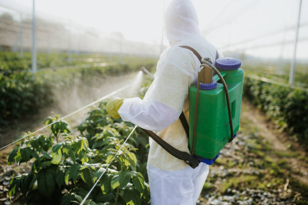 Wildlife Control Services in Tuolumne City, CA